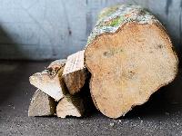 Kiln Dried Hardwood Logs