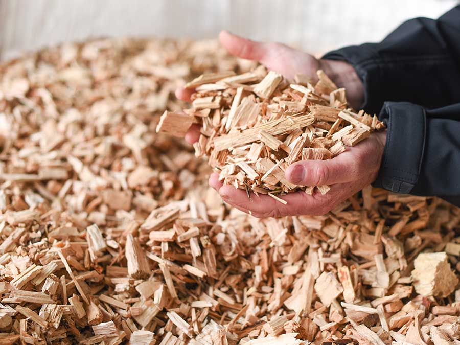 Wood chip for biomass boilers